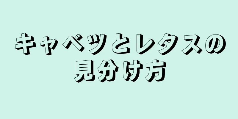 キャベツとレタスの見分け方