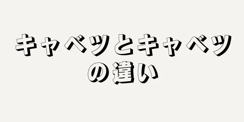 キャベツとキャベツの違い