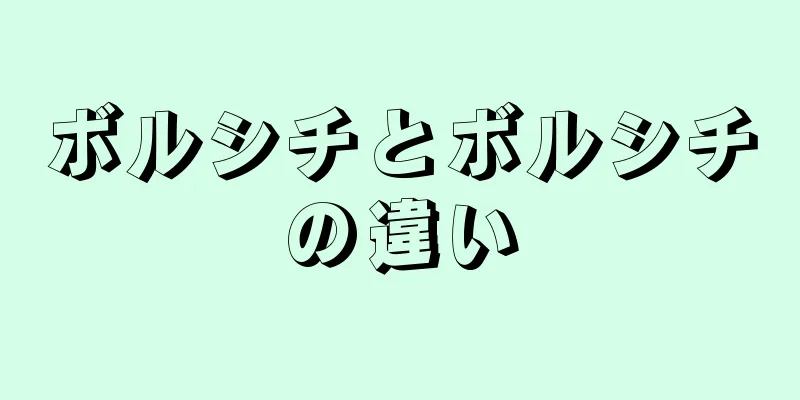 ボルシチとボルシチの違い