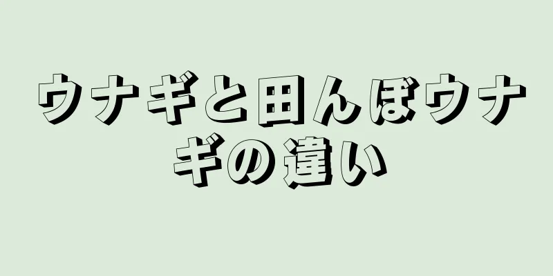 ウナギと田んぼウナギの違い