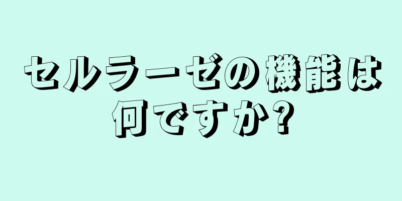 セルラーゼの機能は何ですか?