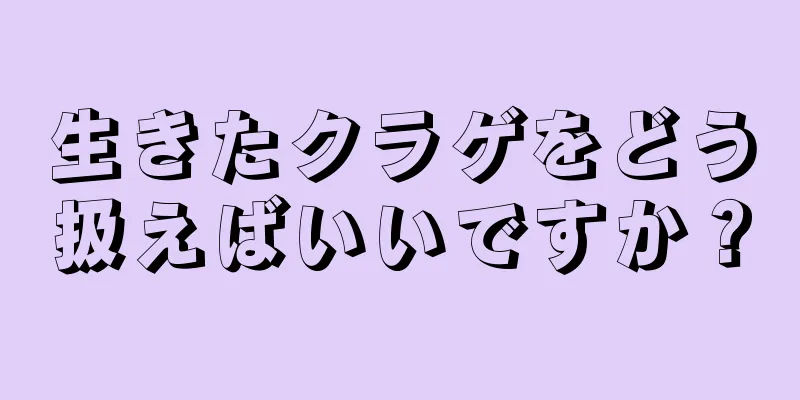 生きたクラゲをどう扱えばいいですか？