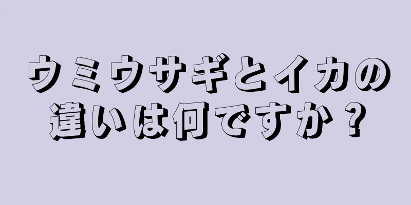 ウミウサギとイカの違いは何ですか？