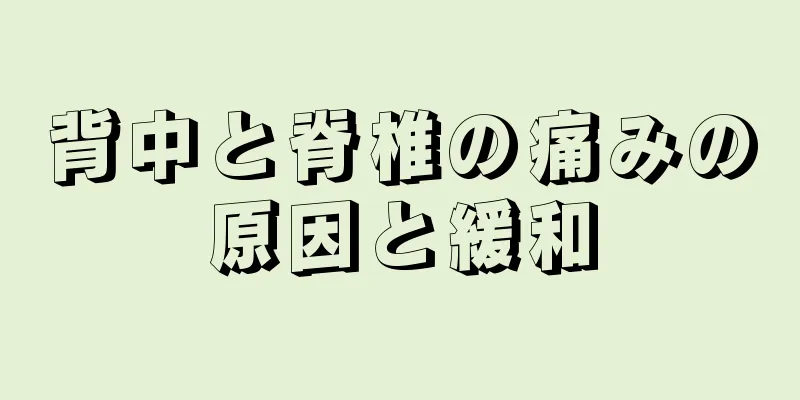 背中と脊椎の痛みの原因と緩和