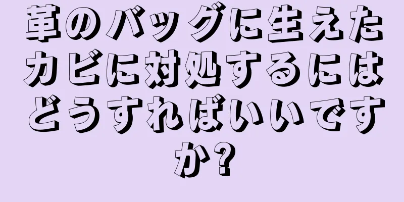 革のバッグに生えたカビに対処するにはどうすればいいですか?