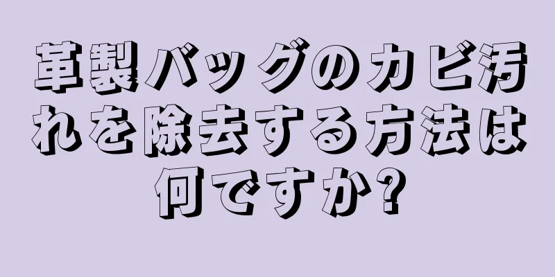 革製バッグのカビ汚れを除去する方法は何ですか?