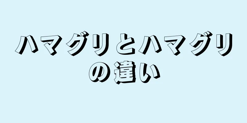 ハマグリとハマグリの違い