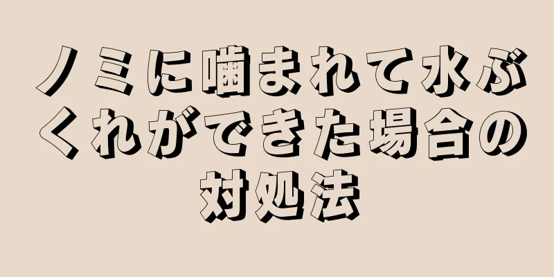 ノミに噛まれて水ぶくれができた場合の対処法