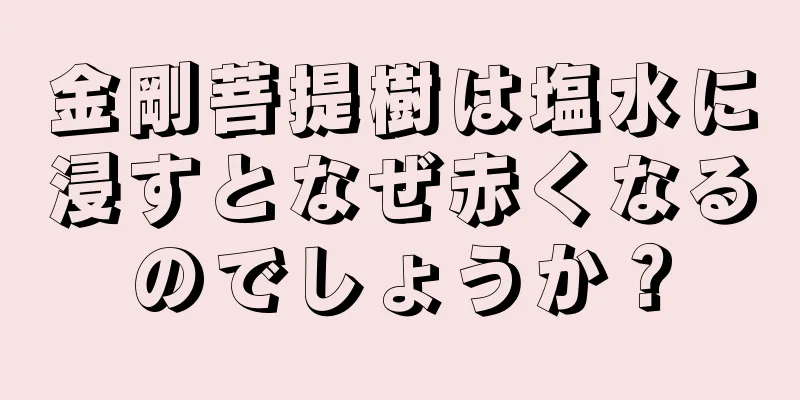 金剛菩提樹は塩水に浸すとなぜ赤くなるのでしょうか？