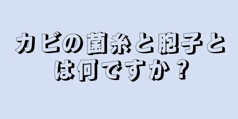 カビの菌糸と胞子とは何ですか？