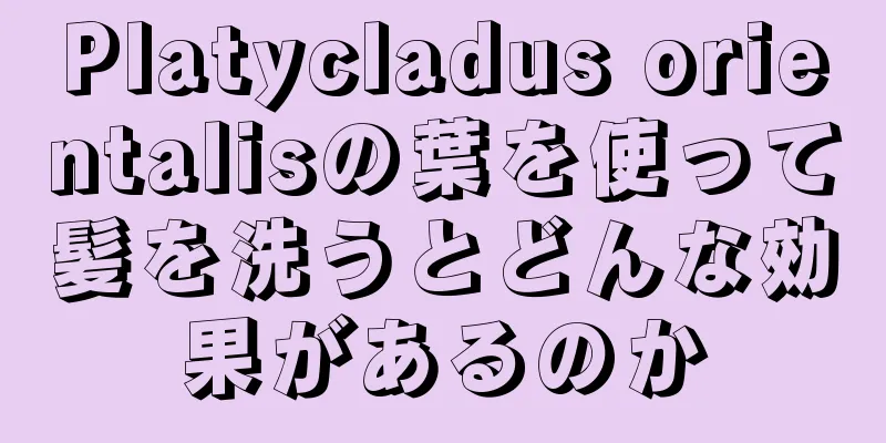 Platycladus orientalisの葉を使って髪を洗うとどんな効果があるのか