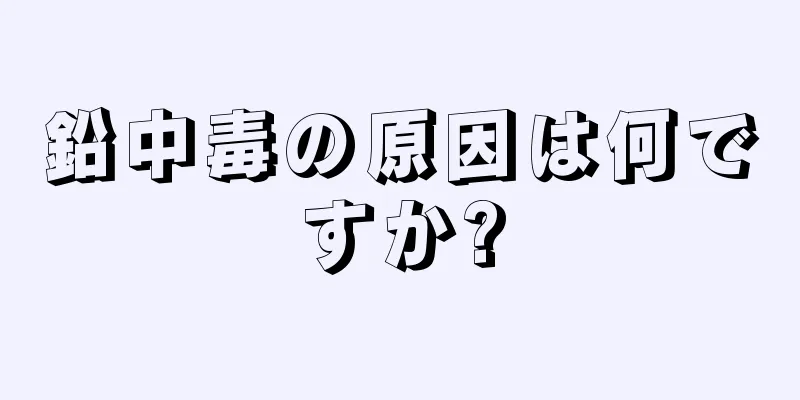 鉛中毒の原因は何ですか?