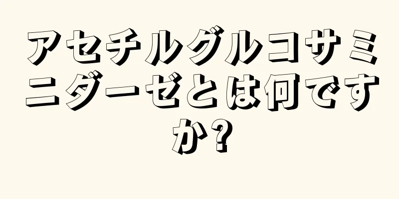 アセチルグルコサミニダーゼとは何ですか?