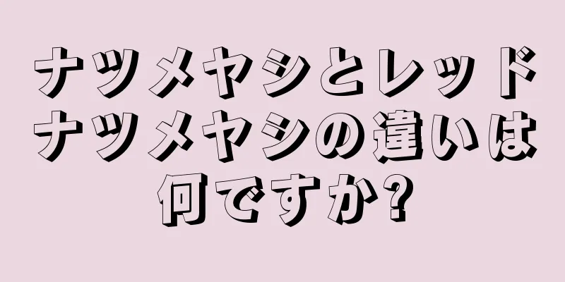 ナツメヤシとレッドナツメヤシの違いは何ですか?