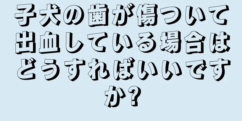 子犬の歯が傷ついて出血している場合はどうすればいいですか?