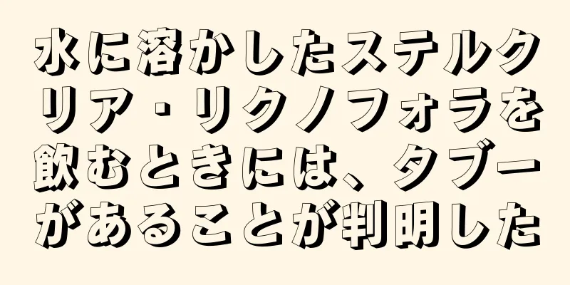 水に溶かしたステルクリア・リクノフォラを飲むときには、タブーがあることが判明した