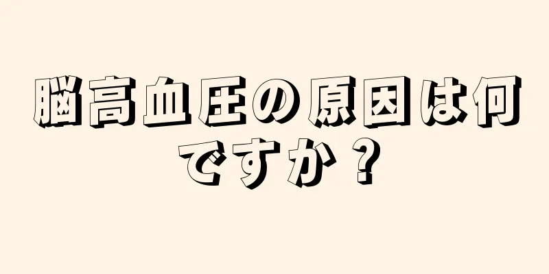 脳高血圧の原因は何ですか？