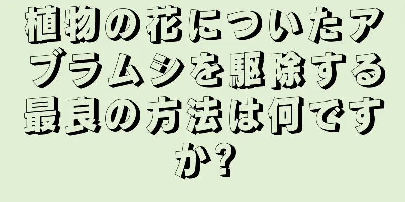 植物の花についたアブラムシを駆除する最良の方法は何ですか?