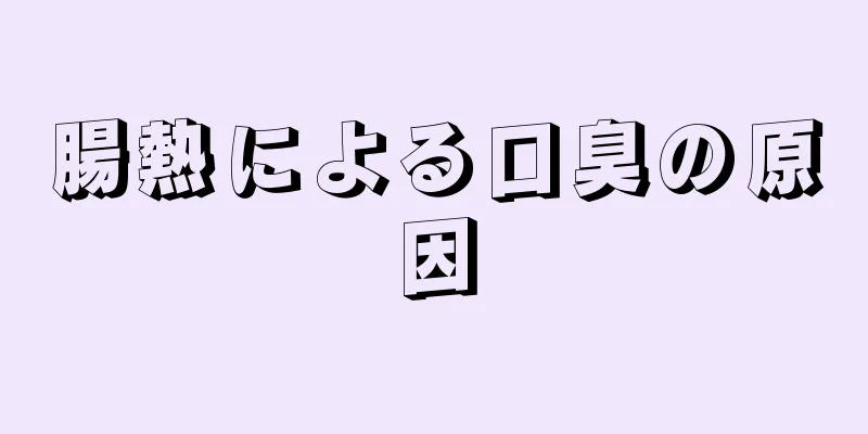 腸熱による口臭の原因