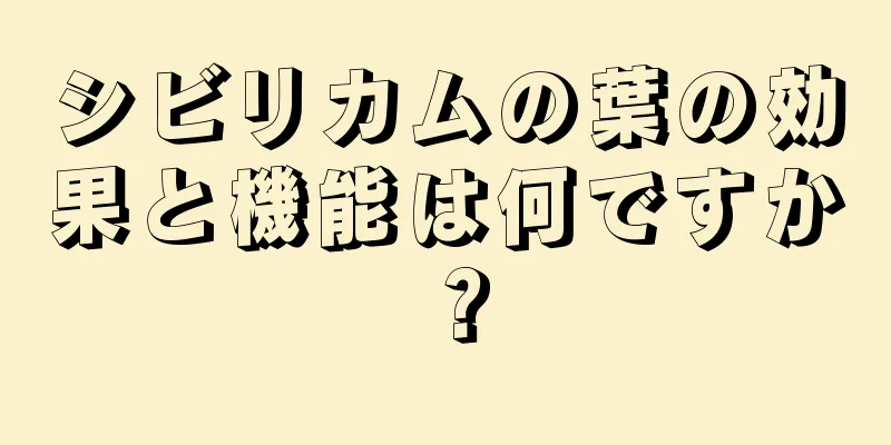 シビリカムの葉の効果と機能は何ですか？