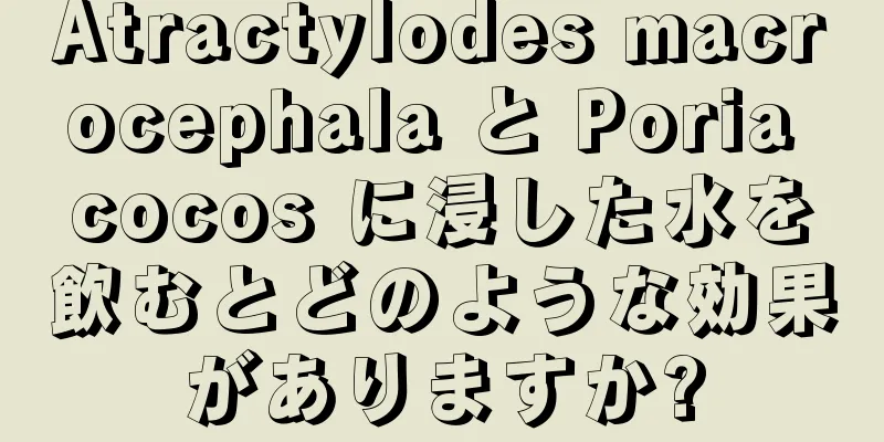 Atractylodes macrocephala と Poria cocos に浸した水を飲むとどのような効果がありますか?