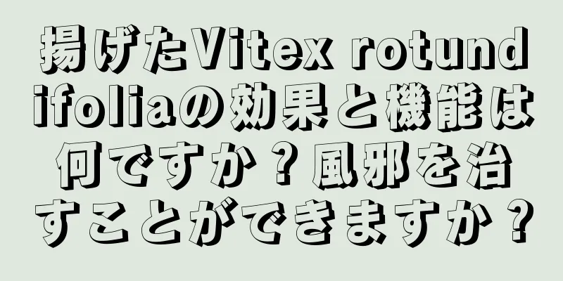 揚げたVitex rotundifoliaの効果と機能は何ですか？風邪を治すことができますか？