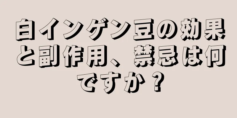 白インゲン豆の効果と副作用、禁忌は何ですか？