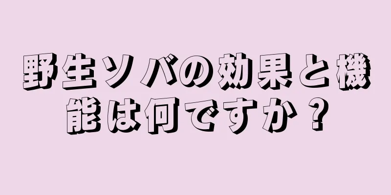 野生ソバの効果と機能は何ですか？