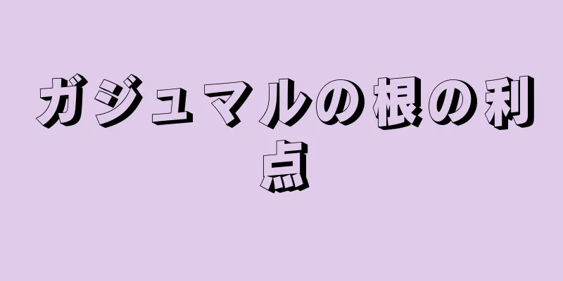 ガジュマルの根の利点