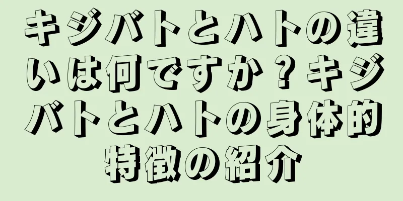 キジバトとハトの違いは何ですか？キジバトとハトの身体的特徴の紹介