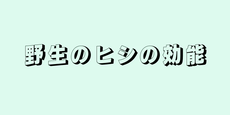 野生のヒシの効能