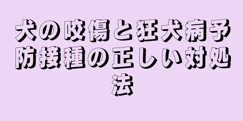 犬の咬傷と狂犬病予防接種の正しい対処法