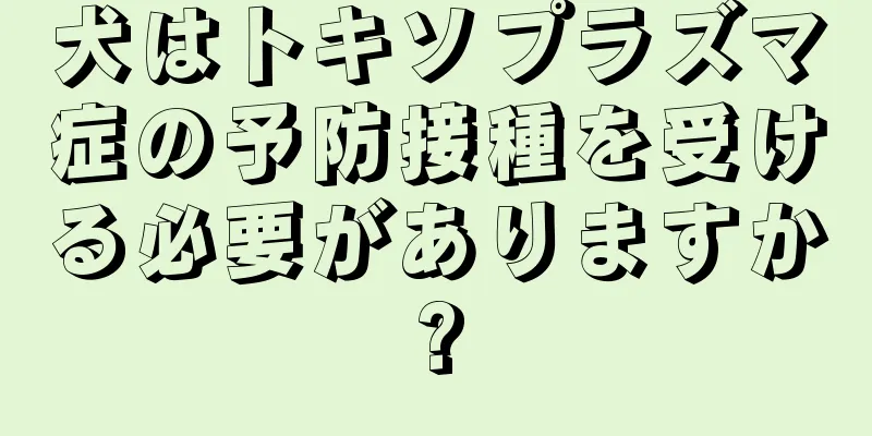 犬はトキソプラズマ症の予防接種を受ける必要がありますか?