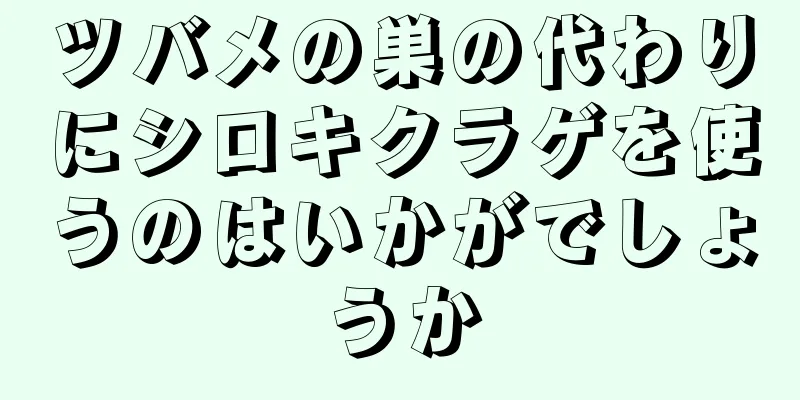 ツバメの巣の代わりにシロキクラゲを使うのはいかがでしょうか