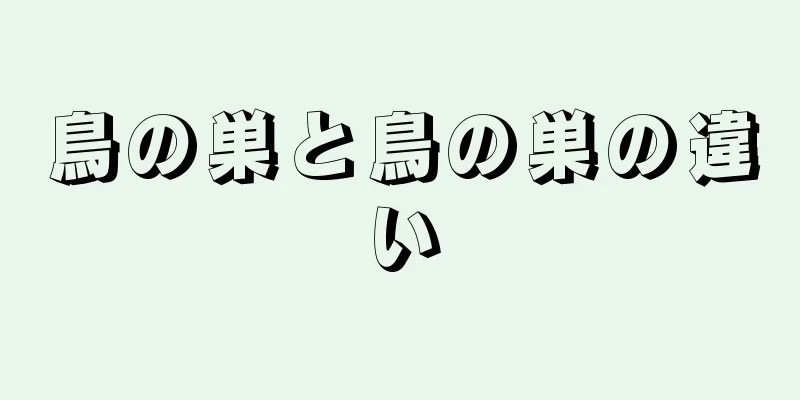 鳥の巣と鳥の巣の違い