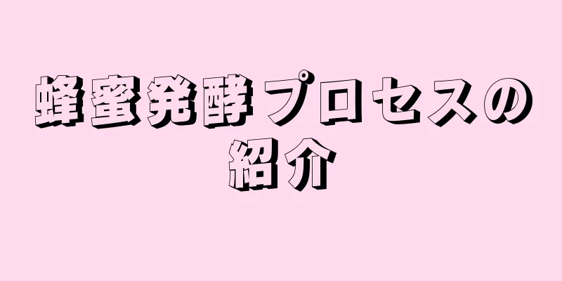 蜂蜜発酵プロセスの紹介