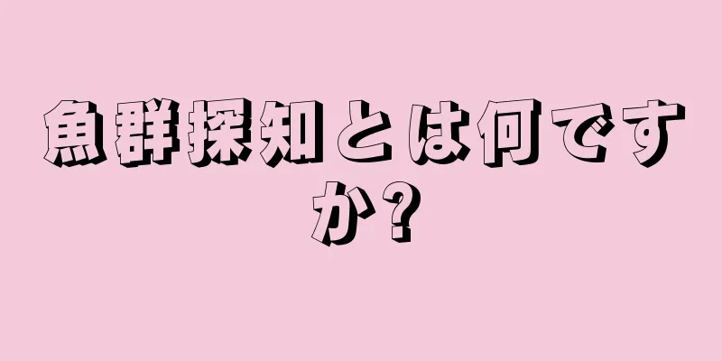 魚群探知とは何ですか?