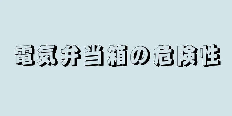 電気弁当箱の危険性