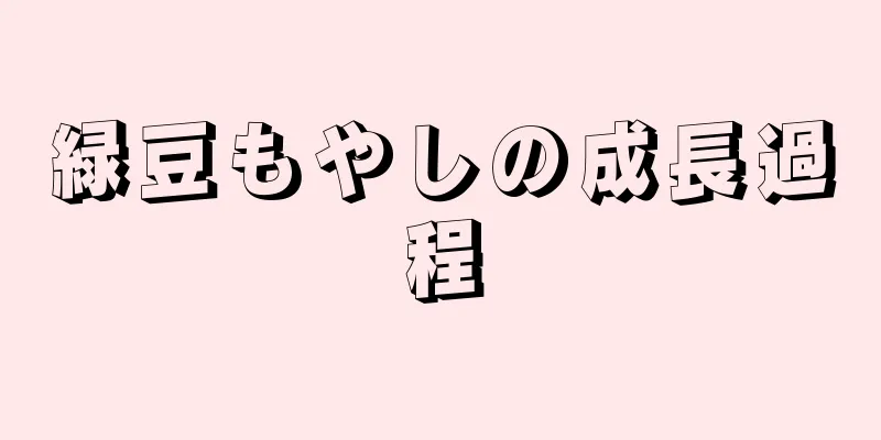 緑豆もやしの成長過程