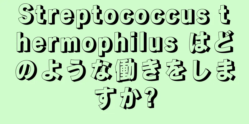 Streptococcus thermophilus はどのような働きをしますか?