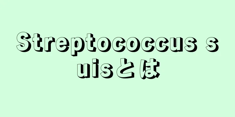 Streptococcus suisとは