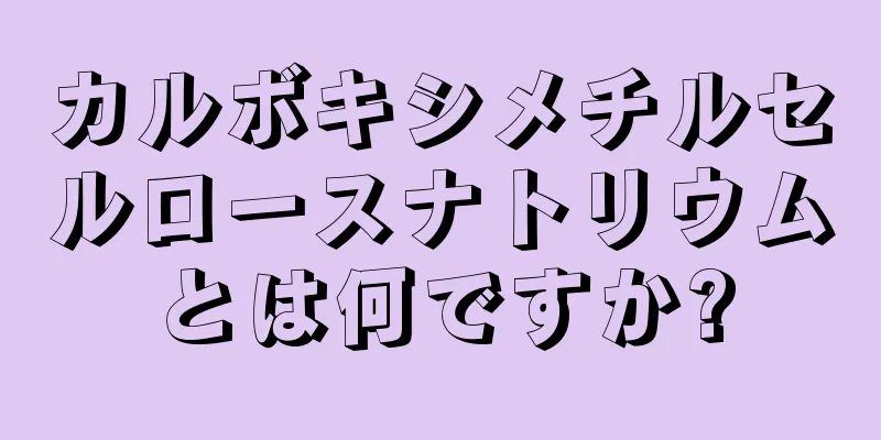 カルボキシメチルセルロースナトリウムとは何ですか?