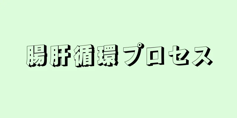 腸肝循環プロセス