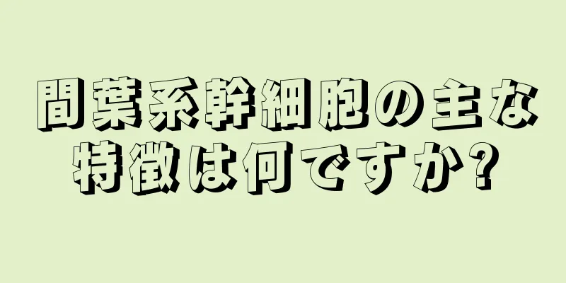 間葉系幹細胞の主な特徴は何ですか?