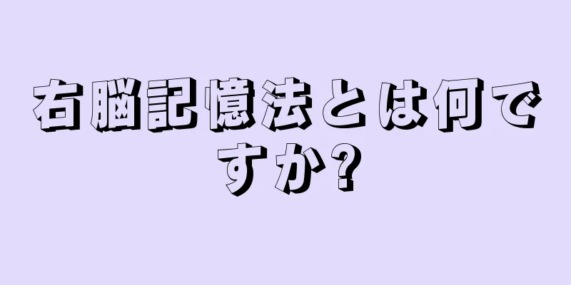 右脳記憶法とは何ですか?