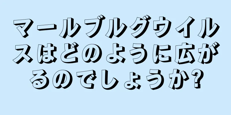 マールブルグウイルスはどのように広がるのでしょうか?