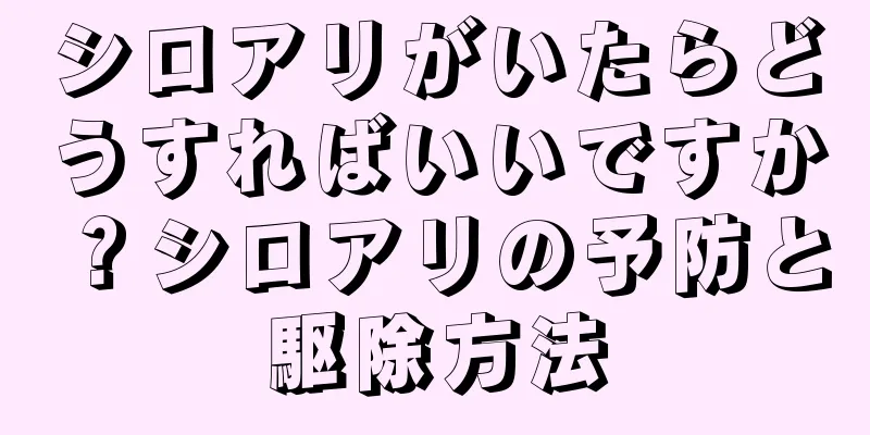 シロアリがいたらどうすればいいですか？シロアリの予防と駆除方法