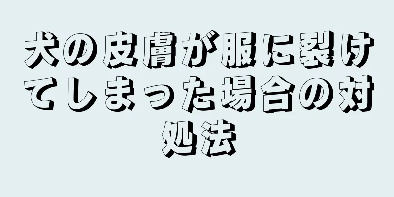 犬の皮膚が服に裂けてしまった場合の対処法