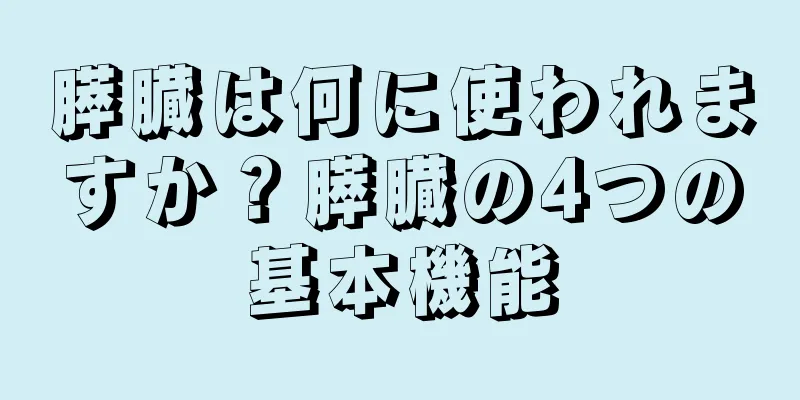 膵臓は何に使われますか？膵臓の4つの基本機能