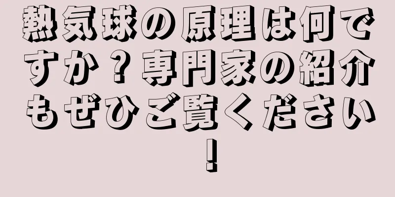 熱気球の原理は何ですか？専門家の紹介もぜひご覧ください！